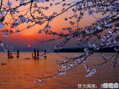 突如其来的句子
