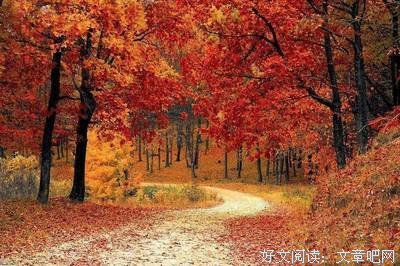 我执，我在好词好句