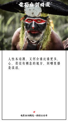 三毛的流浪句子大全
