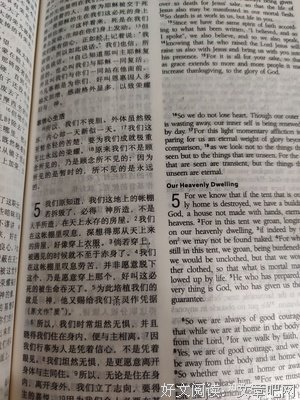 没什么的优美句子