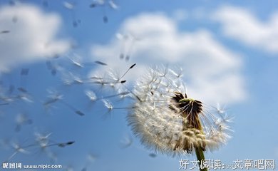 随风经典名句