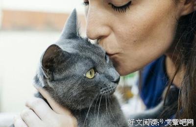 《糟糕，奶奶的小猫又丢了！》读后感1000字