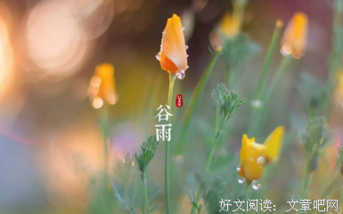 关于甜蜜的优美句子