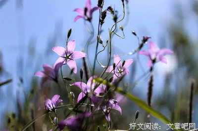 念你安好名句欣赏