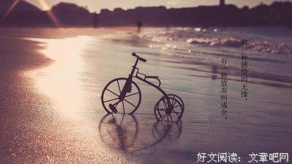 关于有道理的句子
