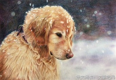 雪中的优美句子