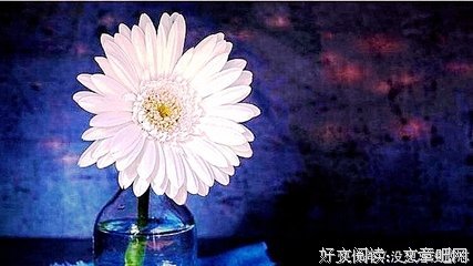 孤经典的句子