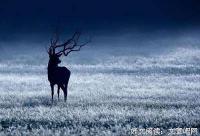 有关哲理的句子