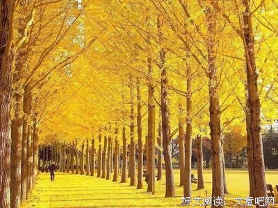 医生与咖啡馆与信的读后感大全