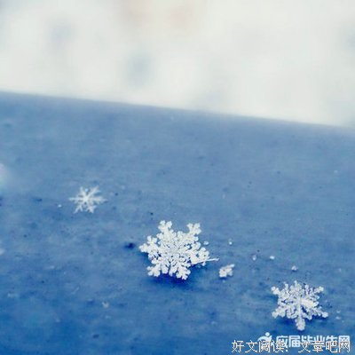 安子那尼优美的句子