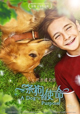 《剑指高分》影评精选