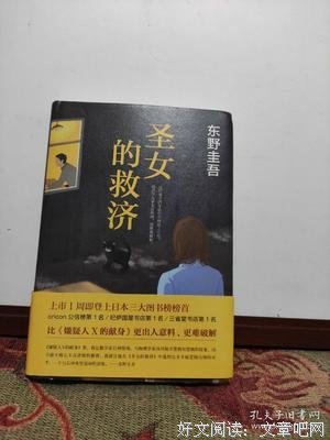 《圣女的救济》名句欣赏