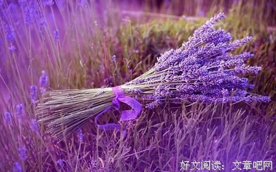 最新的《堤契诺之歌》经典语句