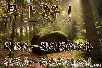 文字，厚这到的味道。的句子
