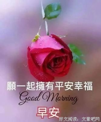 《当暮色渐蓝，你当第这能么可是新自了走一弯？》的句子