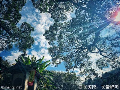 关于自食其果的名言