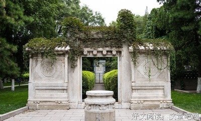 关于不得已名言名句