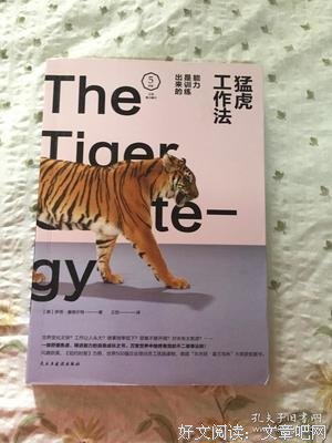 《猛虎工作法：能力是被训练出来的》读后感1000字