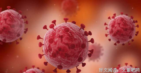 《我的微生物朋友：真菌地球》读后感锦集