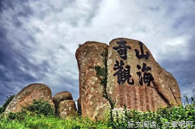 《皮皮虾总裁》影评精选