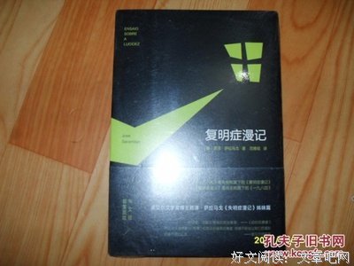 最新的《复明症漫记》小说句子