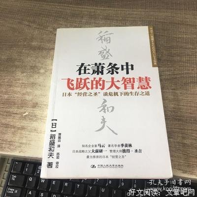 《在萧条中飞跃的大智慧》读后感摘抄