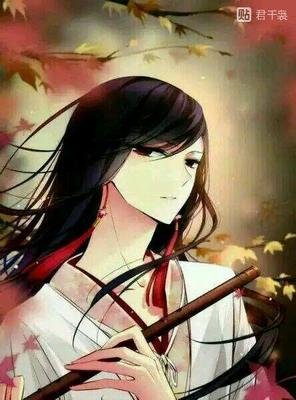 最新的《天降贤淑男》经典的句子大全