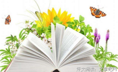 《成为敏捷团队》的读后感大全