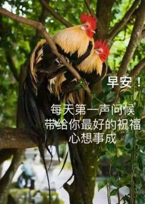 执著的语句摘抄_关于执著的语句