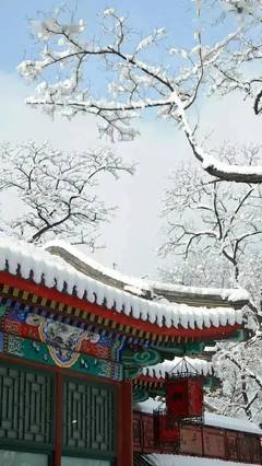 《牵牛花浮世无篱笆：千代尼俳句250》读后感1000字