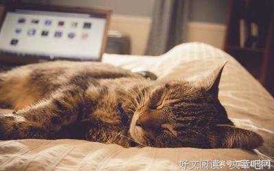 ——张德芬 遇见未知的自己经典的句子