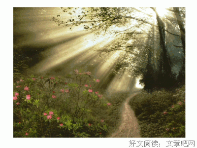 最经典的《穿越网卓么路年音飘零》经典句子