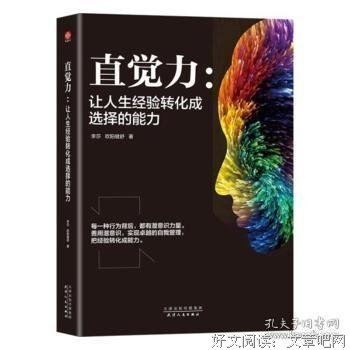 直觉力：让人生经验转化成选择的能力读后感1000字