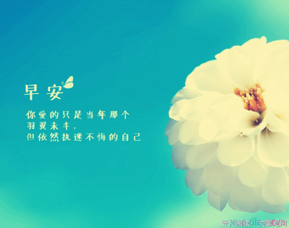 关于说白了的唯美语录