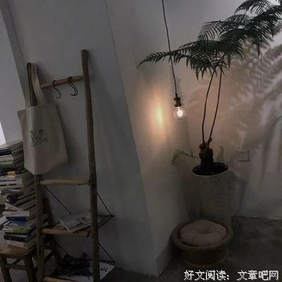 最新的《奶奶的星星》佳句摘抄