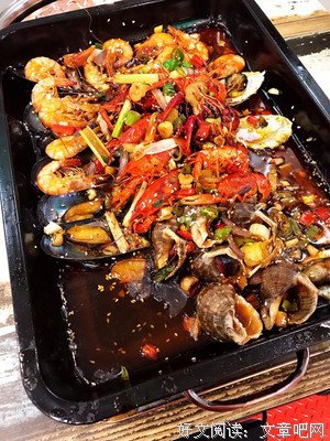 最新的《她的二三事》佳句摘抄