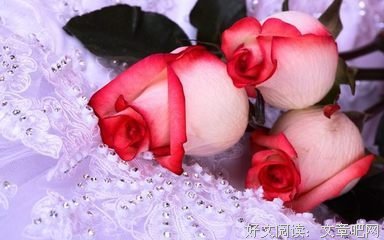 最经典的《如果爱忘了》经典的句子