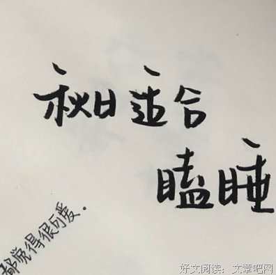 读你的摘抄句子大全