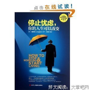《无快乐的经济:人类获得满足的心理学》读后感精选