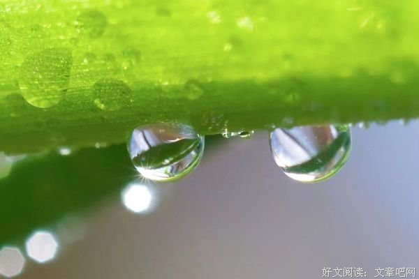 人生，一半烟火，一半诗意