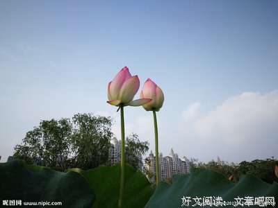 关于相依相偎的座右铭