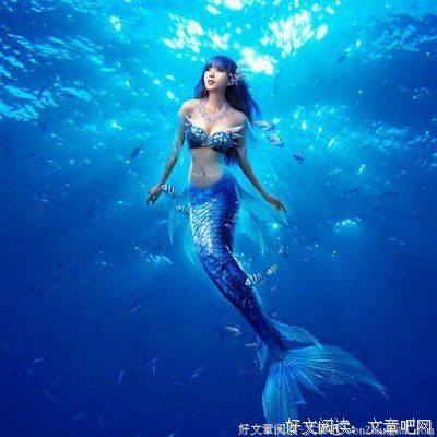 最全的《宋元超微博》经典语句大全