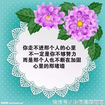 《寂静的知识》经典语句