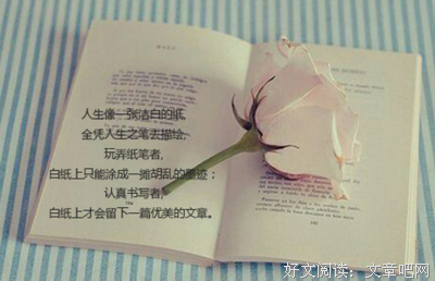 突然好词好句