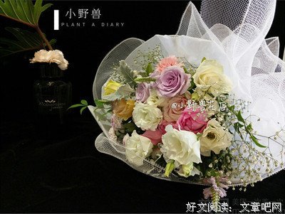 最经典的《小野兽花店》连续剧台词