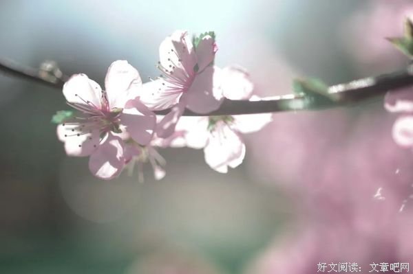 活出优雅的人生