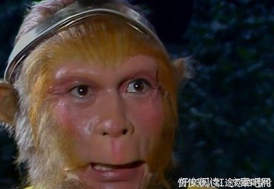 关于于无声处的优美句子