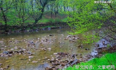 最新的龚青杉名言