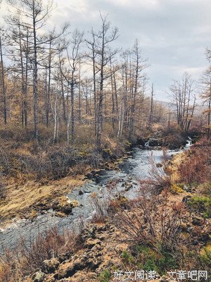 最经典的《山河小岁月》小说书摘