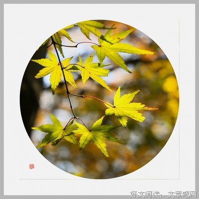 最全的《岁末，念暖》语录摘抄